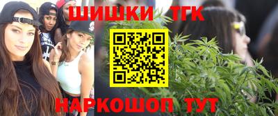 дмт Будённовск