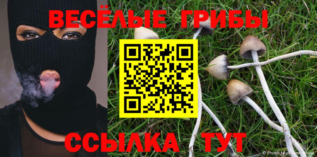 Псилоцибиновые грибы прущие грибы  Вход с VPN  Галлюциногенные грибы мицелий  Татарск 